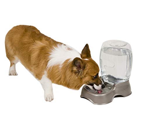 Petmate Pet Cafe Waterer Cat and Dog Water Dispenser 4 Sizes, 3 GAL, Pearl Tan