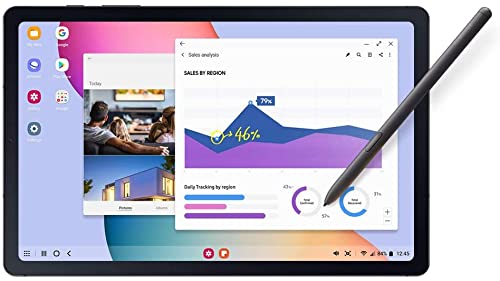 SAMSUNG Galaxy Tab S6 Lite 10.4" 64GB WiFi Android Tablet w/S Pen Included, Dual Speakers, Long Lasting Battery, SM-P610NZIAXAR, Chiffon Rose & Bundle with Swanky Cables Cleaning Kit