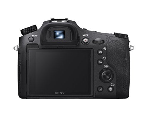 Sony Cyber‑Shot RX10 IV with 0.03 Second Auto-Focus & 25x Optical Zoom (DSC-RX10M4)