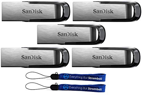 SanDisk 256GB Ultra Flair USB 3.0 Flash Drive (Bulk 5 Pack) High Speed Memory Pen Drive (SDCZ73-256G-G46) Bundle with (2) Everything But Stromboli Lanyard
