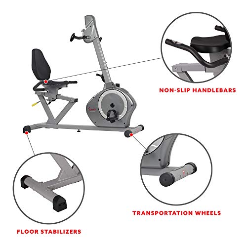 Sunny Health & Fitness Recumbent Bike SF-RB4631 with Arm Exerciser, 350lb,Gray