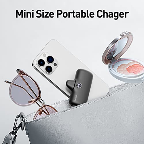 iWALK Portable Charger 4800mAh Power Bank Fast Charging and PD Input Small Docking Battery with LED Display Compatible with iPhone 13/13 Pro/13 Pro Max/12/12 Pro/12 Pro Max/11 Pro/XR/X/8/Plus, Black