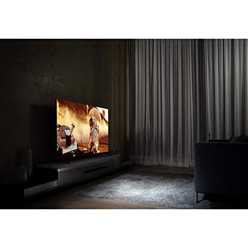 LG 55NANO90UPA Alexa Built-In NanoCell 90 Series 55" 4K Smart UHD NanoCell TV (2021)