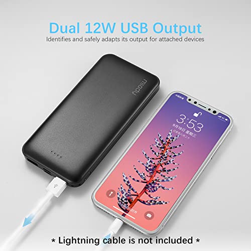 2-Pack Miady 10000mAh Dual USB Portable Charger, Fast Charging Power Bank with USB C Input, Backup Charger for iPhone X, Galaxy S9, Pixel 3 and etc …