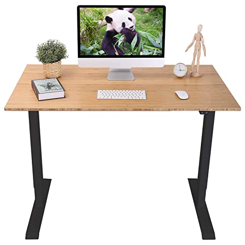 FLEXISPOT Essential Adjustable Desk, Electric Standing Desk Sit Stand Desk, 48 x 24 Inches Whole-Piece Bamboo Desk Top Home Office Table Stand up Desk(EC1 Classic Black Frame+Rectangular Top)