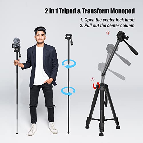 YoTilon Camera Tripod for All Cameras, 73'' Lightweight Aluminum Video Tripod for Camera, Max Load 22lbs,Monopod tripod for Travel with 3-Way 360° Fluid Head Compatible with Canon/Nikon/Sony Cameras