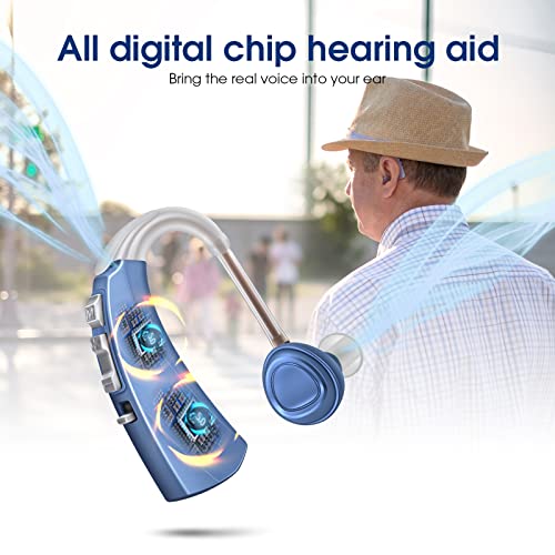 Britzgo Hearing Aids for Seniors,Rechargeable and Noise Cancelling,Sound Amplifier with Four Modes,One Charge for 48h(2 pieces)