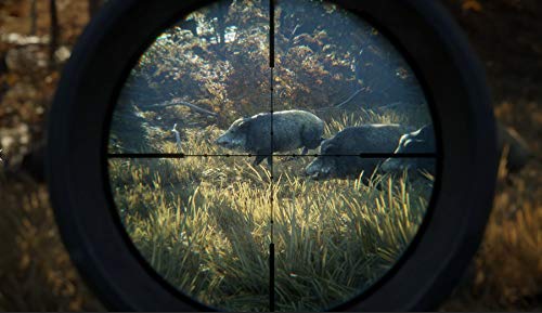 TheHunter Call of the Wild - 2019 Edition (Xbox One)