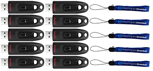 SanDisk Ultra 512GB USB 3.0 Flash Drive (Bulk 10 Pack) Works with Computer, Laptop, 130MB/s 512 GB PenDrive High Speed Memory Storage (SDCZ48-512G-U46) Bundle with 5 Everything But Stromboli Lanyards