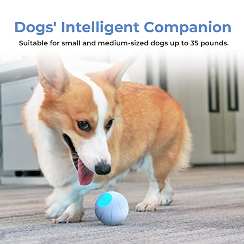 Cheerble Smart Interactive Dog Toy Ball, Automatic Moving Bouncing Rolling Ball for Small Medium Breeds Dogs, Durable Natural Rubber, Wicked Ball SE, Blue