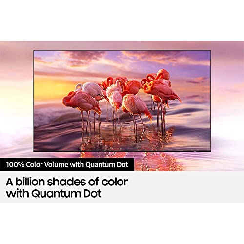 Samsung QN50QN90AA 50" Neo QLED QN90AA Series 4K Smart TV with an Additional 4 Year Coverage by Epic Protect (2021)