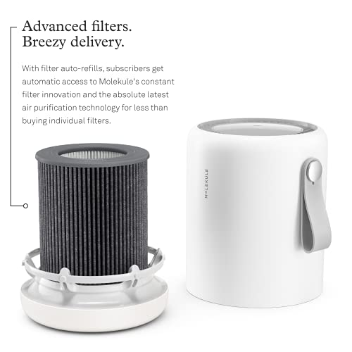 Molekule Air Mini - FDA-Cleared Medical Air Purifier with PECO Technology for Allergens, Pollutants, Viruses, Bacteria, and Mold, White