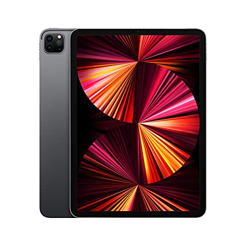 2021 Apple 11-inch iPad Pro (Wi-Fi, 2TB) - Space Gray - AOP3 EVERY THING TECH 