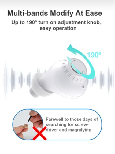 Vixuiyz Digital Hearing Amplifiers: Rechargeable Hearing Aids for Seniors | Invisible Ear Aid Devices for Adults with Noise Cancelling (D-31B)