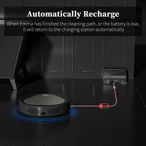 Emma Robot Vacuum Cleaner, Robot Vacuum 3000Pa, Robotic Vacuums 110Mins Runtime&Self Charging, Compatible with Alexa&Google Home&2.4G Wi-Fi, Ideal for Pet Hair, Hard Floor and Low-Pile Carpet (Emma)