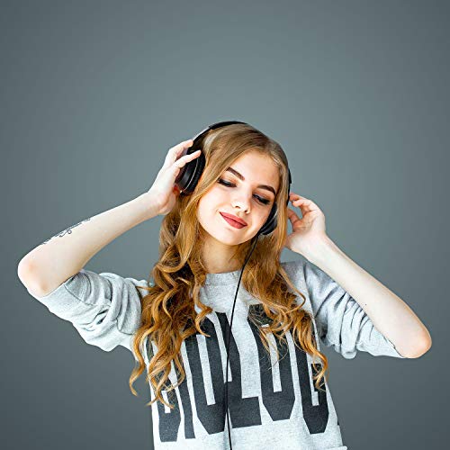 LORELEI X6 Over-Ear Headphones with Microphone, Lightweight Foldable & Portable Stereo Bass Headphones with 1.45M No-Tangle, Wired Headphones for Smartphone Tablet MP3 / 4 (Space Black)