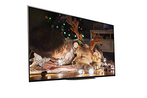 Sony XBR-55A9G 55-inch TV: MASTER Series BRAVIA OLED 4K Ultra HD Smart TV with HDR and Alexa Compatibility - 2019 Model