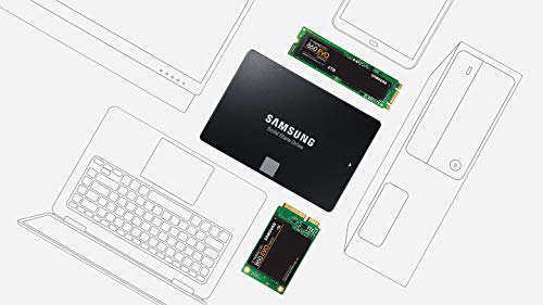 Samsung SSD 860 EVO 1TB 2.5 Inch SATA III Internal SSD (MZ-76E1T0B/AM)