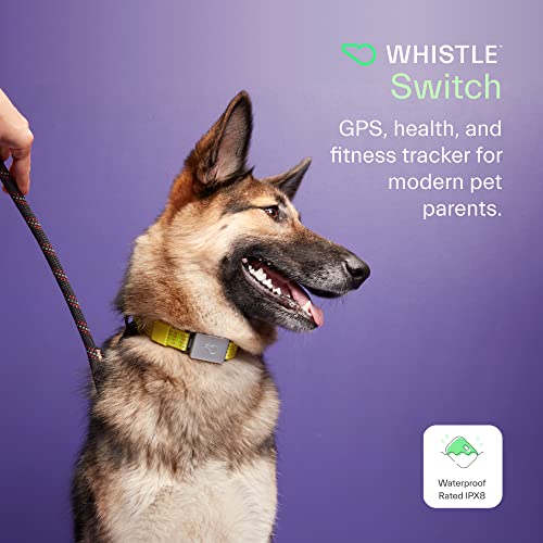 Whistle Switch GPS + Health + Fitness Smart Dog Collar, 24/7 Dog GPS Tracker Plus Dog Health & Fitness Monitor, Sleek Design, Waterproof, 2 Rechargeable Batteries, for Dogs 5lbs and up (Yellow) M/L