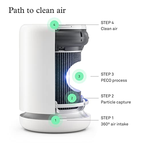 Molekule - Air Mini+ - FDA-Cleared Medical Air Purifier with Particle Sensor and PECO Technology for Smoke, Allergens, Pollutants, Viruses, Bacteria, and Mold- 250 sq. ft.