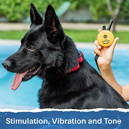 E-Collar - ET-300 - 1/2 Mile Remote Waterproof Trainer Mini Educator Remote Training Collar - 100 Training Levels Plus Vibration and Sound - Includes PetsTEK Dog Training Clicker