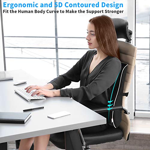 Lumbar Support Pillow,Memory Foam Back Support for Office Chair,Computer Chair,Car Seat,Recliner and Couch with Breathable 3D Mesh Cover,Ergonomic Design Orthopedic Backrest for Back Pain Relief