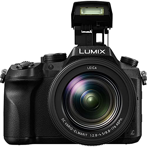 Panasonic Lumix DMC-FZ2500 Digital Camera - 128GB - Memory Card Wallet - Reader - Battery x2-72" Tripod - Case