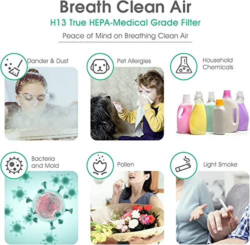 Gocheer Air Purifier for Extra Large Room with H13 True HEPA Filter 2,500 Sq ft Coverage Smart Air Cleaner for Home Eliminate Smoke Dust Pollen Mold Pet Dander Allergens Gases