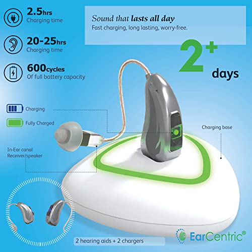 [Silver] Rechargeable hearing aid for seniors with noise cancelling and feedback reduction seniors adults, nano invisible receiver in canal (RIC) for mild moderate severe Hearing Loss, Digital personal sound amplifier with Volume Control | EarCentric - RI