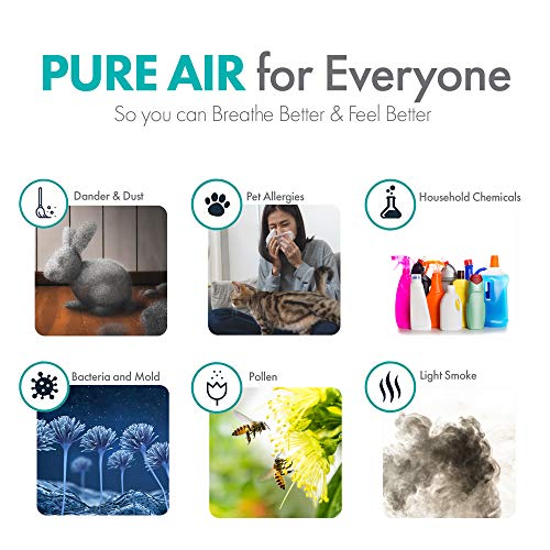 Alen BreatheSmart FLEX Air Purifier,H13 True HEPA for Large Rooms up to 700 Sqft, White & BreatheSmart 45i or Flex Air purifier, Allergies/Dust Odors/Heavy Odors, Odors/Pet Dander