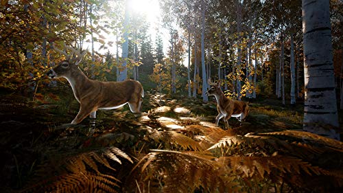 Hunting Simulator 2 (Xb1) - Xbox One