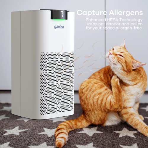 Air Purifiers For Home Large Room, Ganiza 1077ft² 23db Less Noise Air Purifiers for Pets Remove 99.97% Pollen Pet Hair Wildfire Smoke Dust, H13 HEPA Air Purifier, Odor Eliminator, Ozone Free