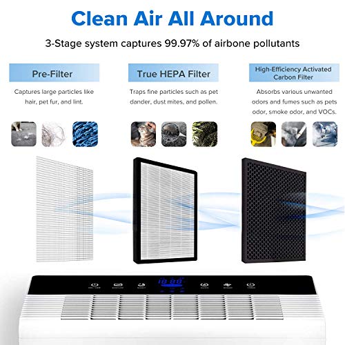 LEVOIT Air Purifier for Home Large Room with True HEPA Filter, White & Air Purifier LV-PUR131 Replacement Filter, True HEPA & Activated Carbon Filters Set, LV-PUR131-RF