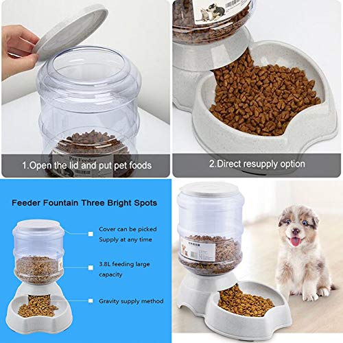 Cat Water Fountain,Automatic Cat Feeder,Dog Water Dispenser,1 Gal Pet Automatic Feeder Waterer by Blessed family(Waterer+Feeder)