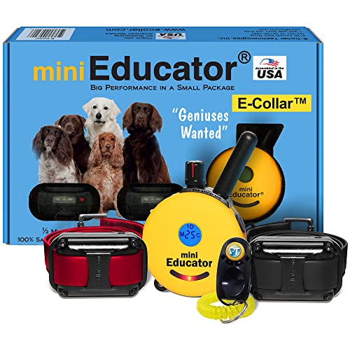 Bundle of 2 Items - E-Collar - ET-302 - 1/2 Mile Remote Waterproof Two Dog Trainer Mini Educator - Static, Vibration and Sound Stimulation Collar with PetsTEK Dog Training Clicker Training Kit