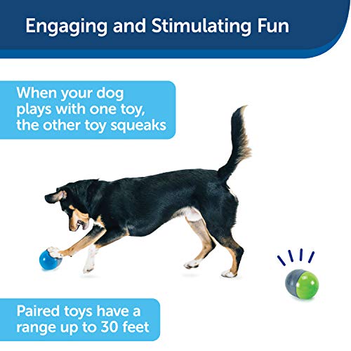 PetSafe Ricochet - Electronic Squeaking Dog Toy - 2 Paired Toys Squeak to Keep Dogs Busy - Engaging Puzzle for Bored, Anxious or Energetic Pets, Multicolor, 4.2" x 3.4" (Set of 2)