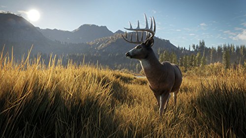 theHunter: Call of the Wild - Xbox One