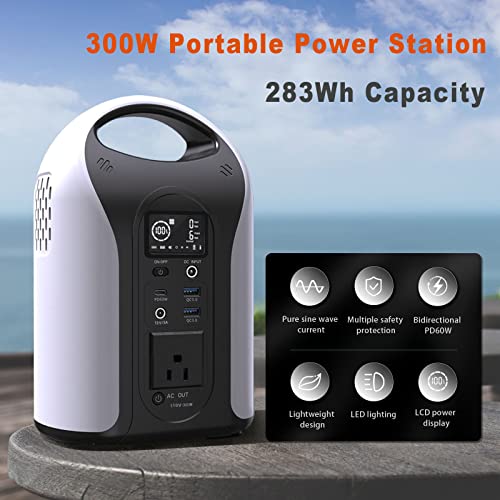 Runjoy Portable Power Station 300W, 283Wh Solar Generator with 110V AC Outlet, 5 Ports Battery Backup with LED for Home Use CPAP Outdoors Blackout Emergency