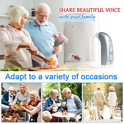 Banglijian Hearing Aid Rechargeable with Digital Noise Cancelling and Feedback Cancellation, Powerful Hearing Aid for Adults and Seniors (Right Ear)