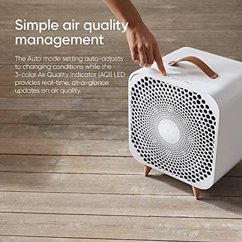 BLUEAIR Pure Fan Auto, 3-Speed HEPASilent Room Fan, Cools + Cleans, Removes Allergens Dust Pollen for Floor Table Desk and Bedrooms