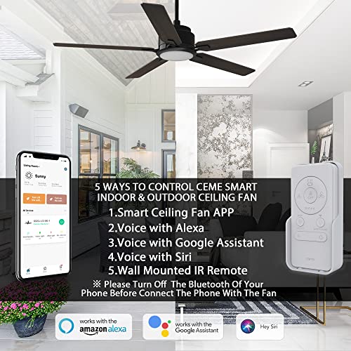 Smart Ceiling Fan with Lights, Indoor & Outdoor Ceiling Fan with Remote, 10 Speeds Smart Ceiling Fan Compatible with Alexa, Siri & Google, 52 Inch Modern Ceiling Fan with DC Motor, Black Ceiling Fan