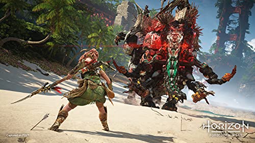 Horizon Forbidden West Collector's Edition - PS4 and PS5 Entitlements