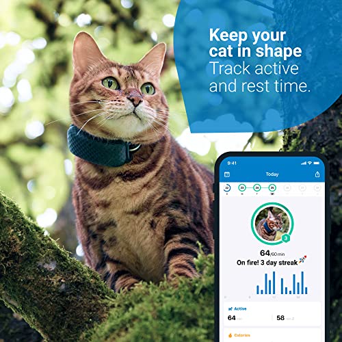 Tractive Waterproof GPS Cat Tracker - Location & Activity, Unlimited Range & Works with Any Collar (Dark Blue) (TRAMINDB)