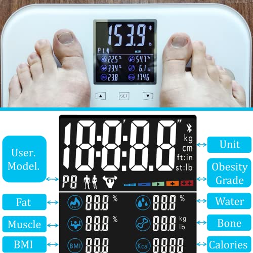 Scale for Body Weight and Fat, Rykyart Touch Screen and App Dual-Mode Body Fat Scale with 18 Body Data,400 Ib Bluetooth BMI Weight Scale, Digital Bathroom Scale Sync with Fitness App,White