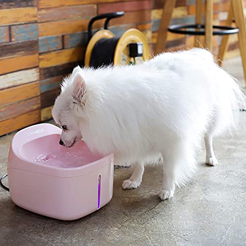 DOGNESS Pet Fountain Cat Water Dispenser Healthy and Hygienic Drinking Fountain 2L Automatic Electric Water Bowl for Dogs, Cats, Birds and Small Animals (Pink)