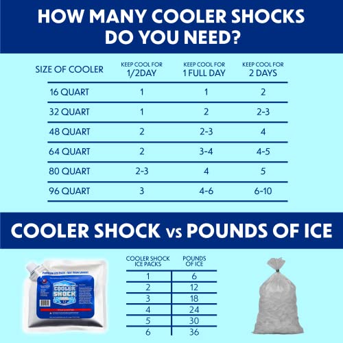 Cooler Shock Reusable Ice Packs for Cooler - 5 Pc Strong, Reusable, Premium Ice Pack and Lunch Cooler Set for Long Term Use - Cools Faster Than Ice - Cooler Accessories - Lunch Box Size