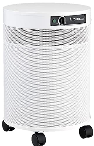 AIRPURA R600 AIR PURIFIER THE EVERYDAY AIR PURIFIER,THIS AIR PURIFIER HAS BEEN PROVEN TO ELIMINATE A WIDE RANGE OF AIRBORNE PARTICLES AND ODORS LEAVING ONLY CLEAN AND FRESH AIR.