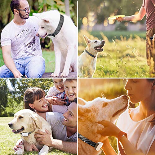 NBJU Bark Collar for Dogs,Rechargeable Anti Barking Training Collar with 7 Adjustable Sensitivity and Intensity Beep Vibration for Small Medium Large Dogs (White)