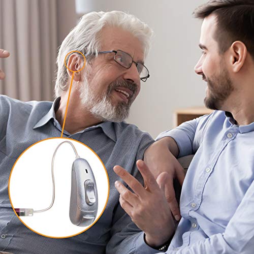 BLJ Hearing Aid for Adults and Seniors, Invisible Digital Hearing Aid to Assist Hearing, Lightweight with Noise Reduction and Feedback Cancelling (Blue-Left Ear)