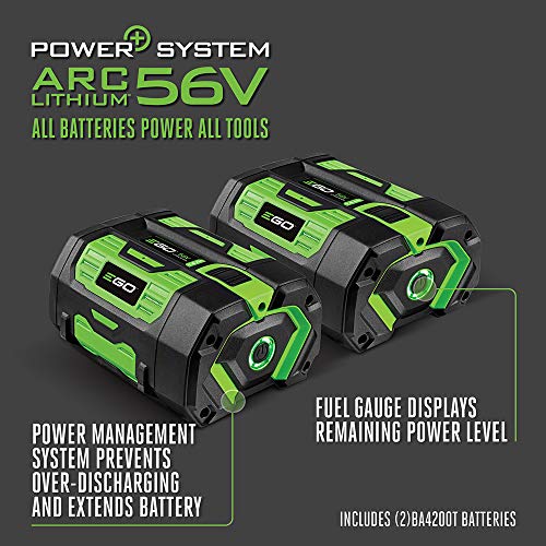 EGO Power+ PST3042 Nexus Portable Power Station for Indoor and Outdoor Use Two 7.5Ah Battery Included, Black